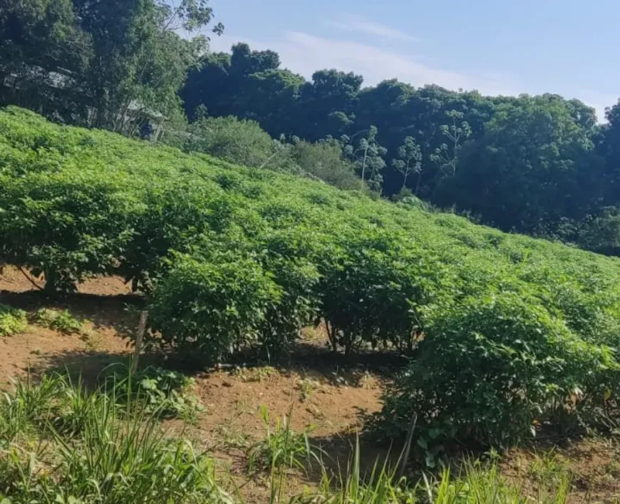 5ea453e4edeeccdbb751ffb2a5b422c2